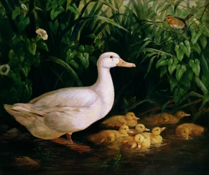 Anatra e anatroccoli, c.1890